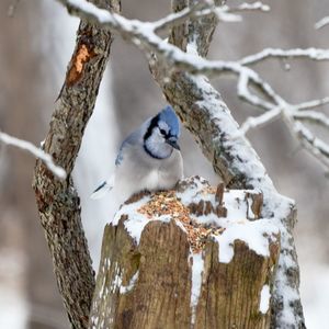 Meet your Posher, Krista